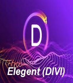 Elegant Themes (Divi)