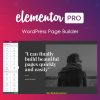Elementor PRO WP Page Builder + Pro Templates GPL