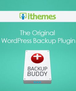 IThemes BackupBuddy GPL
