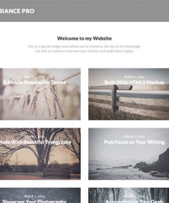 StudioPress Ambiance Pro Genesis WP Theme