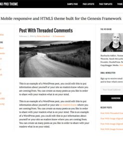 StudioPress eleven40 Pro Genesis WP Theme