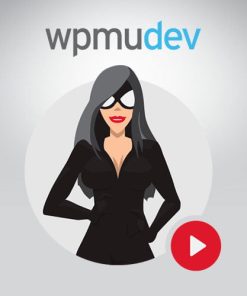 WPMU DEV SmartCrawl Pro