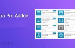 Astra Pro Addon