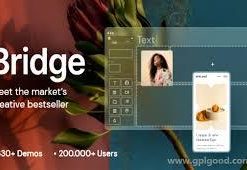Bridge Theme