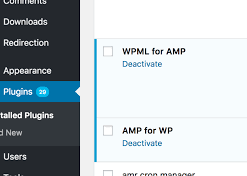 WPML Integration with AMP